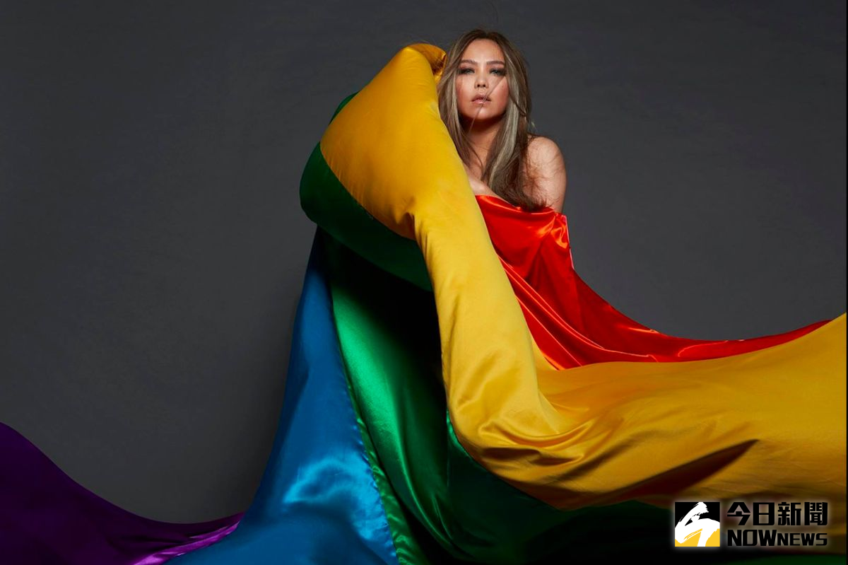 ▲張惠妹一路溫柔站在最前線，帶領同志們前進。（圖／翻攝自張惠妹臉書，2017.05.24）