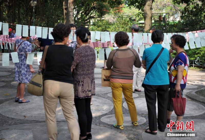 廈門公園現「相親角」，父母用心為子女找對象。