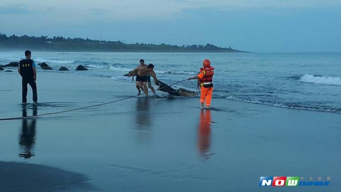 台東海面現浮屍　民眾、海巡、員警齊救援
