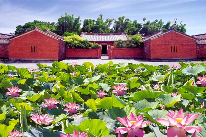 蓮池古宅賞花趣　桃園蓮花季小旅行開放報名
