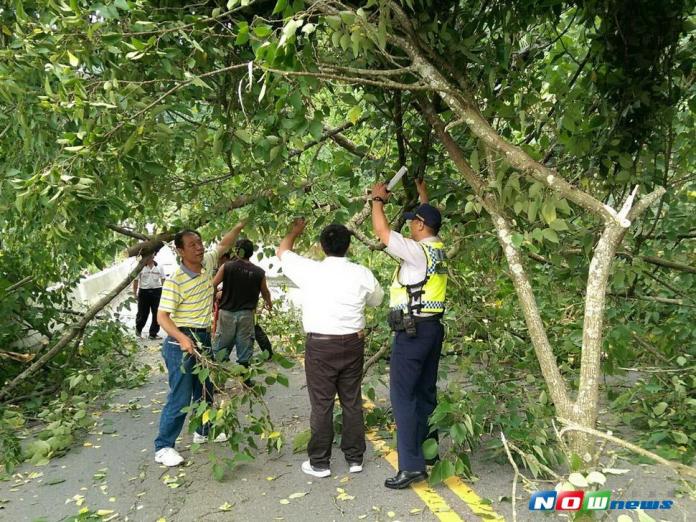 中橫路樹倒下阻道　警民協力排除
