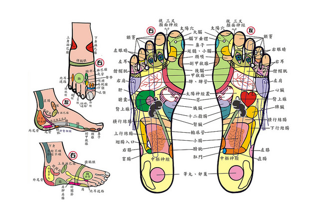 ▲足底反射區可對應到全身器官，但腳底按摩不得稱具醫療效果。（圖／翻攝自flickr）