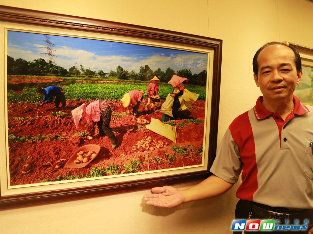 ▲攝影老師蔡世垚的「地瓜採收」作品，紀錄農民辛勤耕種終有豐碩收成的幸福畫面。（圖／葫蘆墩文化中心提供2017.6.9）