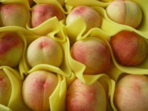 ▲網友拿水蜜桃貼臉,卻因此發生悲劇。(圖/記者黃玿琮攝) ▲網友拿水蜜桃貼臉,卻因此發生悲劇。(圖/記者黃玿琮攝)