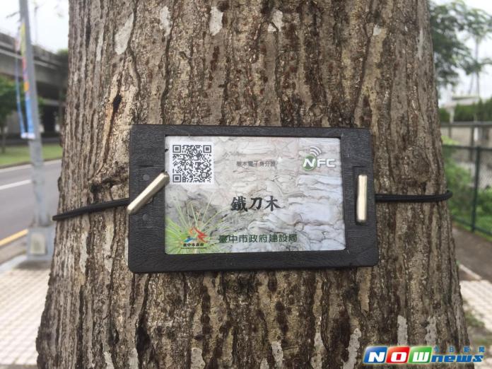 ▲民眾利用智慧型手機掃瞄掛在樹身的QR Code，樹籍資料一目了然。（圖／建設局提供2017.6.1）