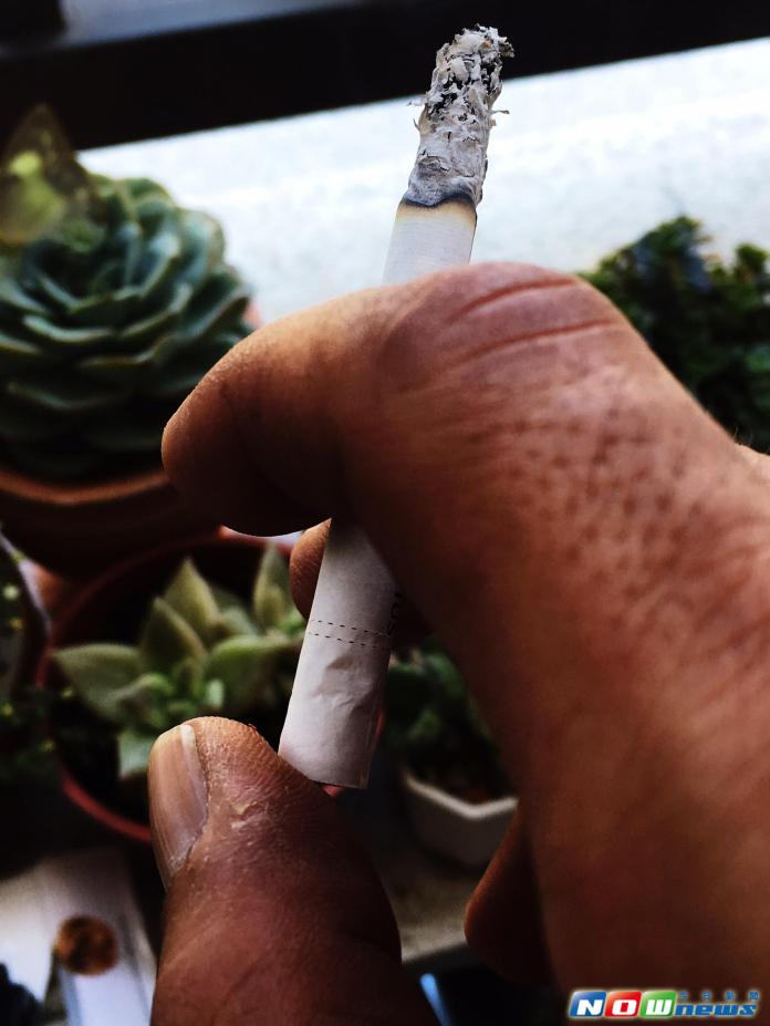 ▲藉此活動確保民眾健康，降低吸菸率及民眾暴露二手菸及三手菸的危害。（圖／記者宋德威攝，2017.5.9）