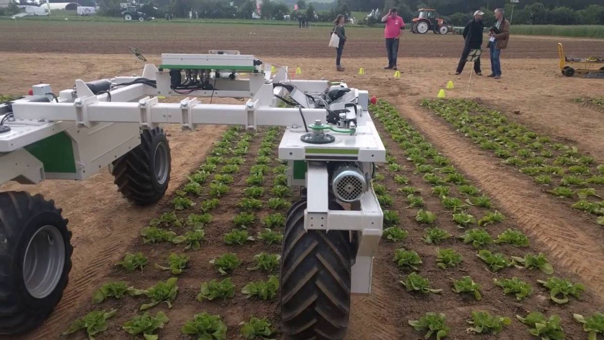 ▲除草機器人Dino。（圖／翻攝自YouTube）