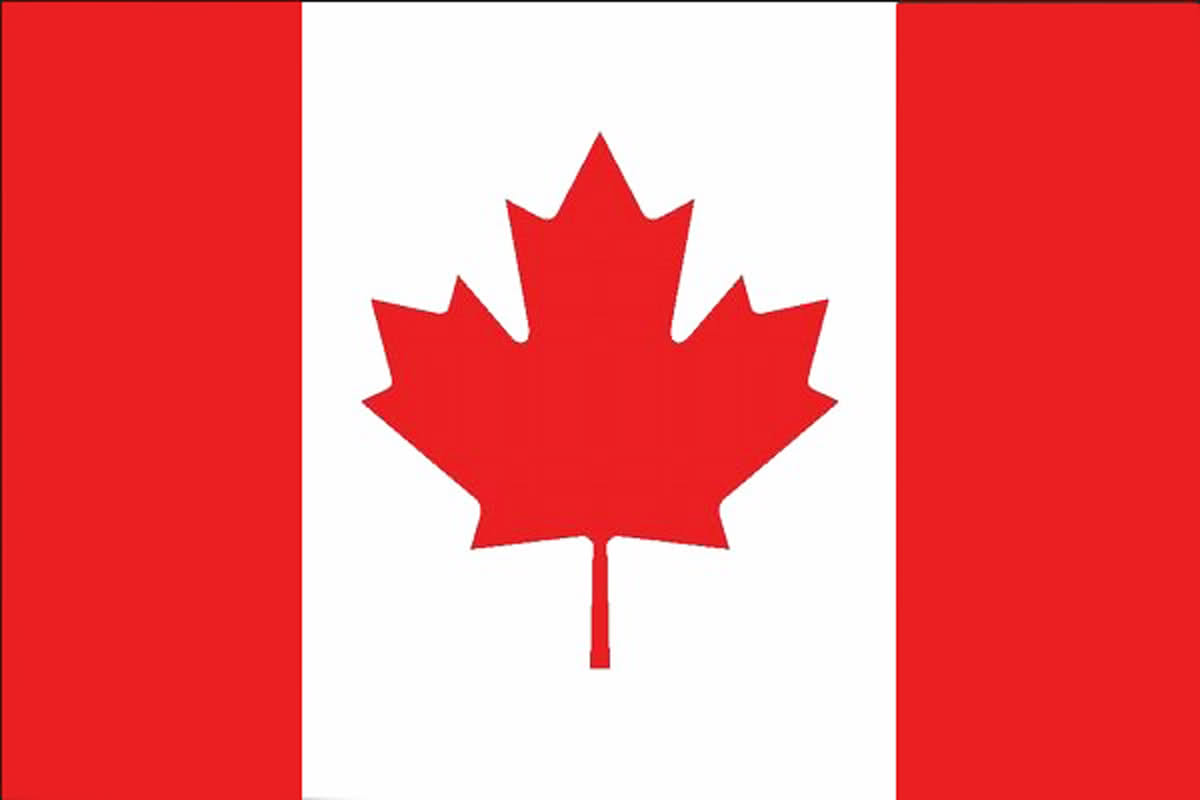 ▲。（圖／翻攝自網路）