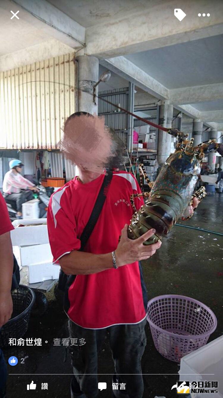 ▲漁民捕獲這一尾超級天霸王龍蝦。（圖／漁民提供2017 06 13）