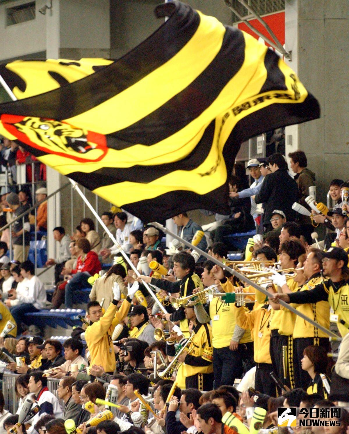 ▲阪神明天起將與軟銀爭奪日本一。（圖／美聯社／達志影像）