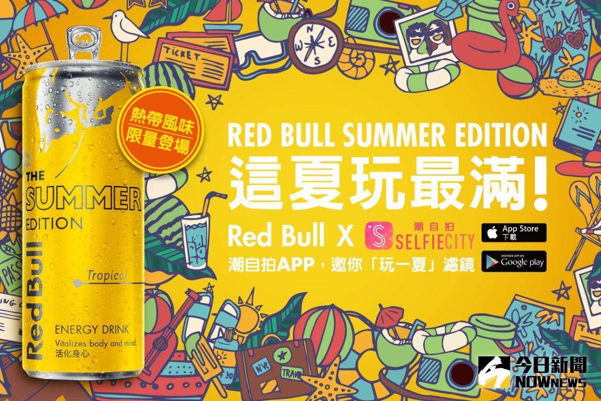 ▲這夏玩最滿Red Bull Summer Edition熱帶風味限量登場。（圖／公關照片）