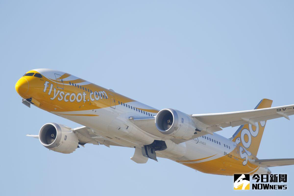 ▲酷航與欣丰虎航將於今年7月25日正式合併。（圖／酷航）