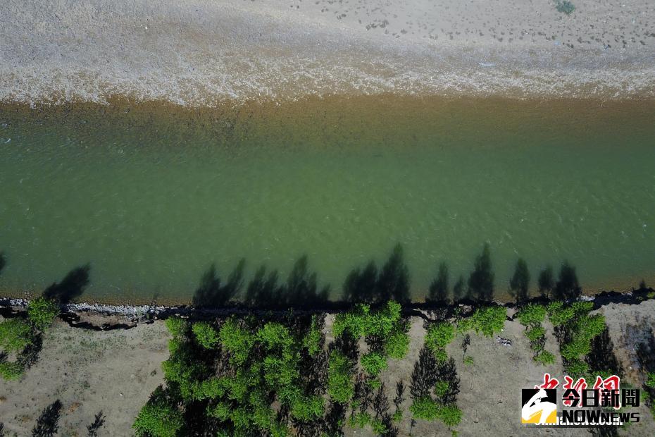 川藏線上的風景，西藏左貢初夏如畫。