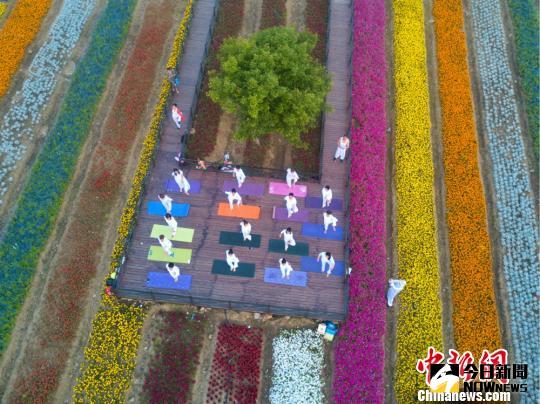 瑜伽愛好者來到無錫雪浪山下練習瑜珈。