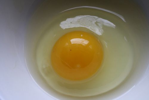 ▲醫生建議雞蛋應熟食，以降低感染沙門氏桿菌的風險。（圖／翻攝自flickr）
