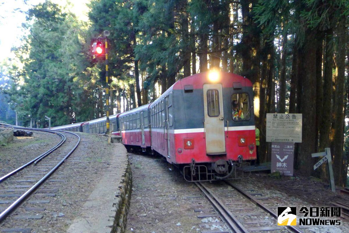 ▲阿里山森林鐵路奮起湖至十字路暨屏遮那至神木的分段復駛，將規畫「阿里山火車碰壁」郵輪式列車。（圖／台鐵）