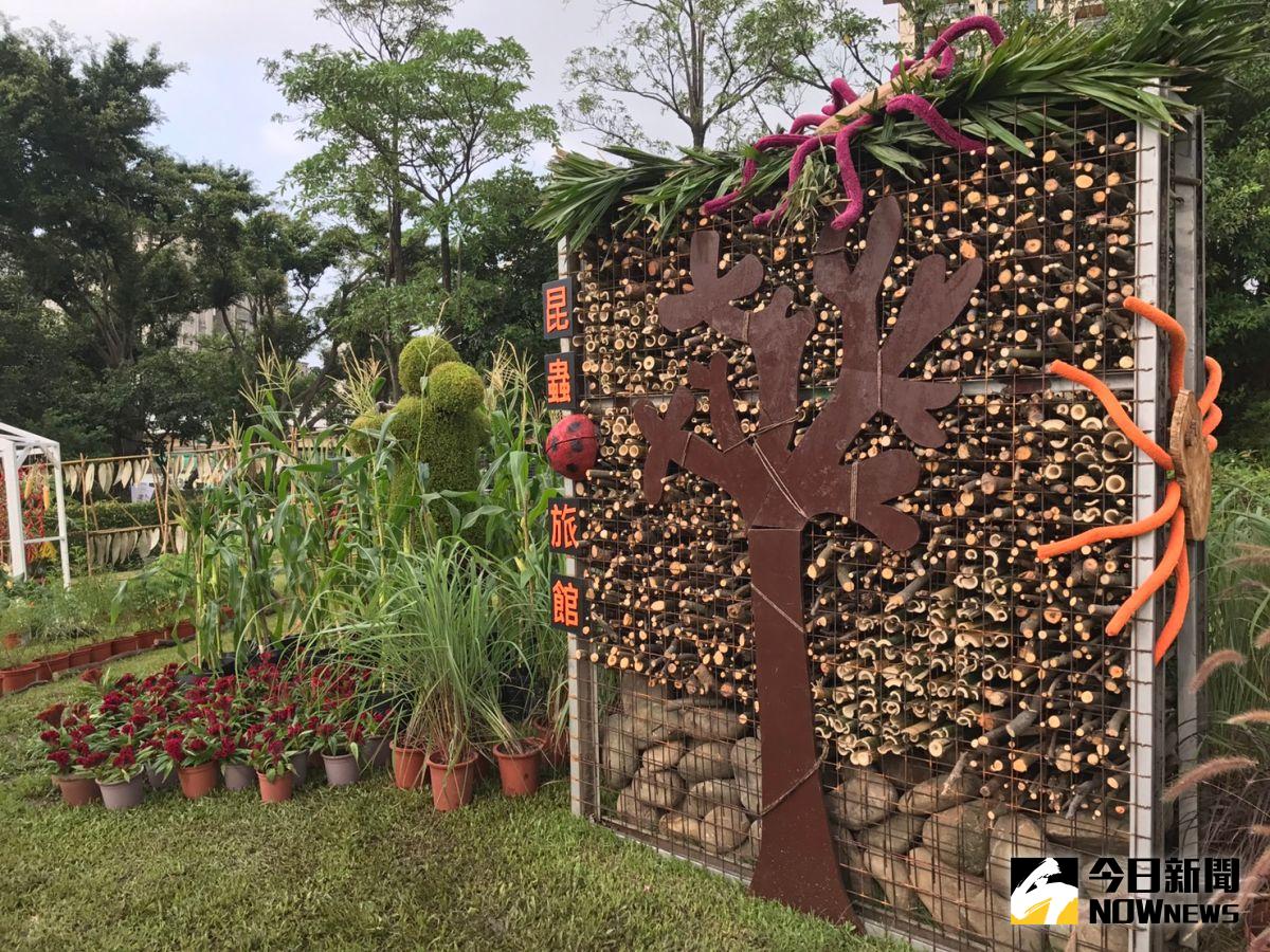 ▲竹管提供獨居蜂良好的棲息居住地。（圖／台北市公園處提供）
