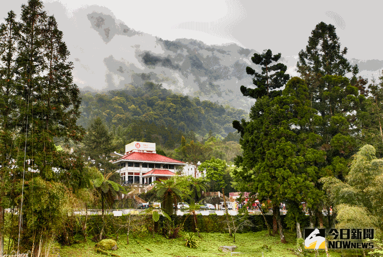 ▲群山圍繞，山嵐徐徐，立德飯店座落在宛如人間仙境的溪頭自然教育園區內。（圖／立德飯店提供）