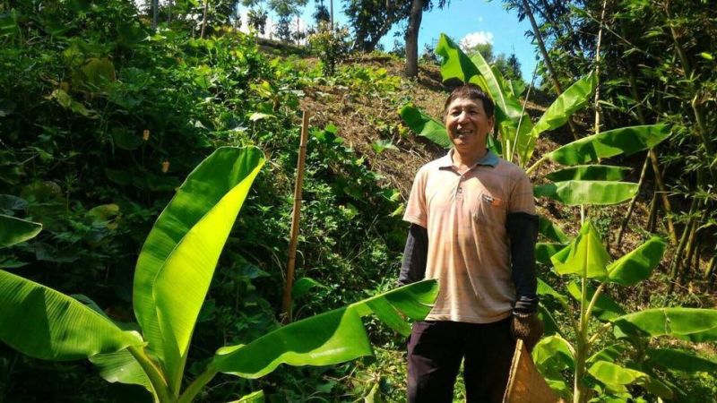 ▲楊春生從小吃苦，一手好廚藝的他，曾開過餐館，熱心公益，還是名專業的國標舞老師，桃李滿天下，如今的他在苗栗西湖鄉山區開闢農地，種植蔬菜水果，是名快樂的農夫。（圖／楊春生提供，2017.6.8）
