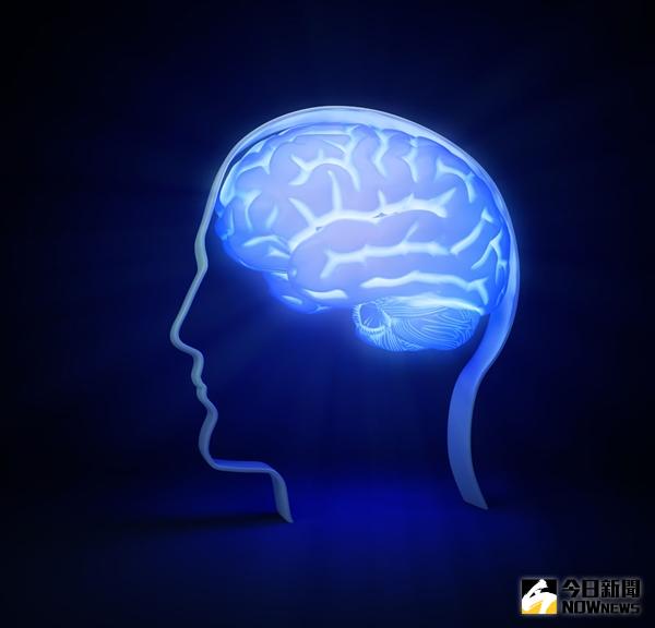 人類大腦具有11維幾何空間。