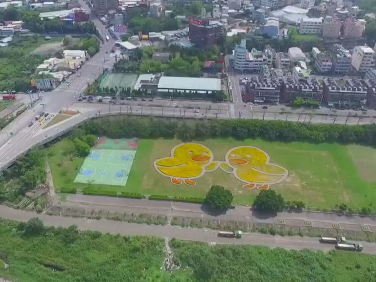 東勢河濱公園改造計畫已完成小花海設置，8月將新闢環園人行道及自行車道。（圖／台中市政府建設局提供2017.7.31）