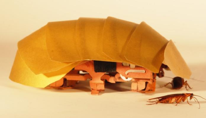 ▲蟑螂是科學家重要的靈感來源，美加州柏克萊實驗室因而打造蟑螂搜救機器人。（圖／翻攝自 UC Berkeley 官網）