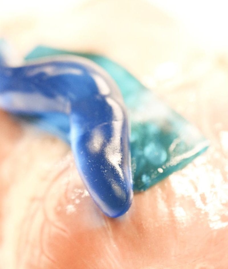 ▲在潮濕的生物組織上，新的黏合劑可以塑形成各種形狀，而且不會對生物產生毒性。（圖／翻攝自哈佛大學Wyss Institute）