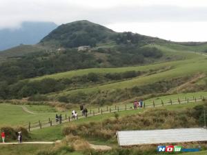擎天崗情侶趴桌野戰！陽明山管理處凍未條：別干擾環境