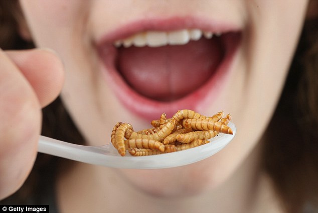 目前，義大利因環境和健康因素禁止人們吃昆蟲食品。（圖／翻攝自每日郵報）