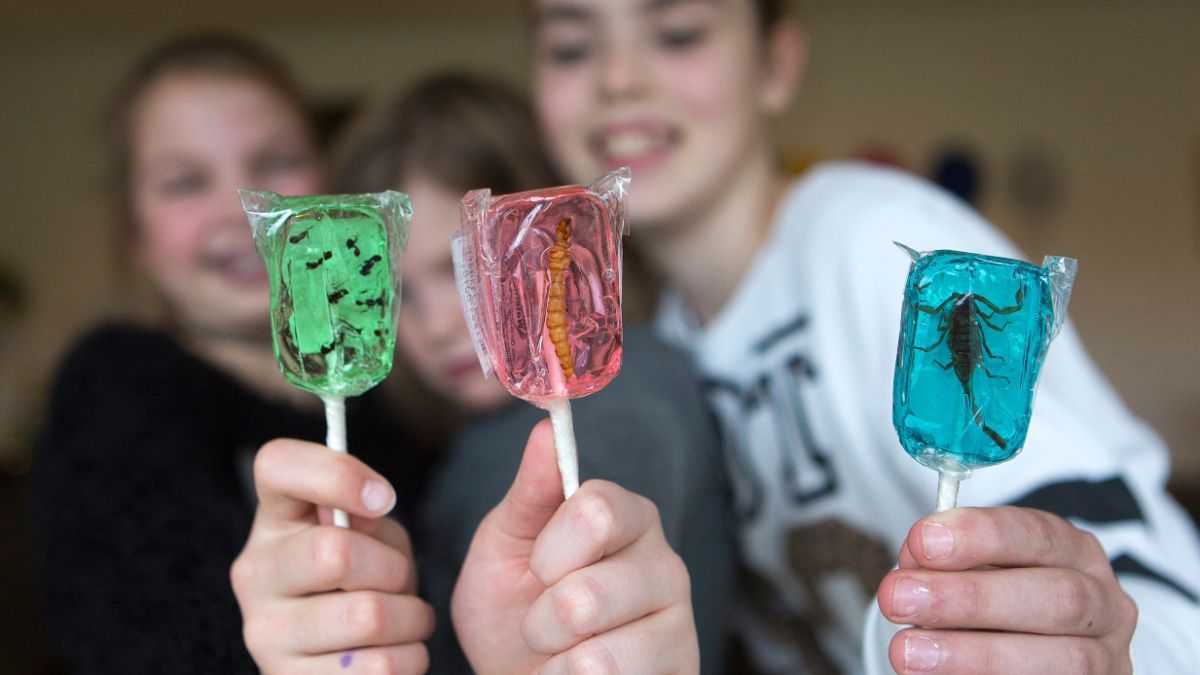 比利時在2013年步入「吃蟲的時代」，成為全歐洲第一個「吃蟲合法化」的國家。圖為蟲蟲產品示意圖。（圖／達志影像／美聯社）