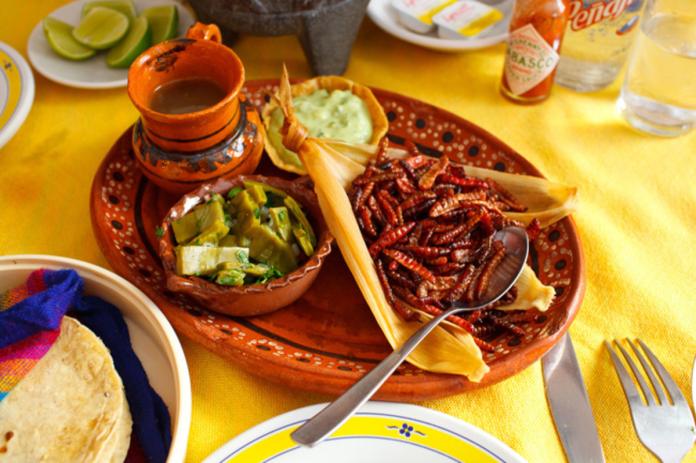 墨西哥五大美味蟲蟲料理之一：蠕蟲（圖／翻攝自noticiasmvs.com）