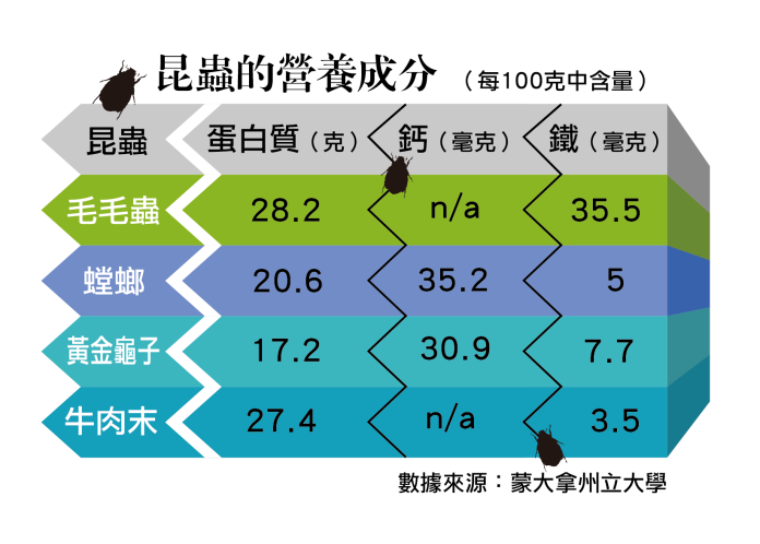 吃蟲蟲救地球》食用昆蟲歷史溯及數千年前
