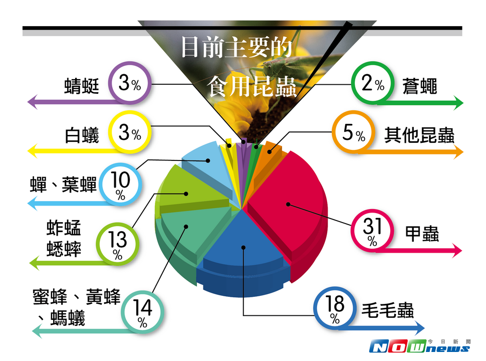 目前，全世界已經有20億人口將昆蟲當作食物，而在超過100萬種的昆蟲中，就有1900種昆蟲可供人類食用。（製表／朱素恕）