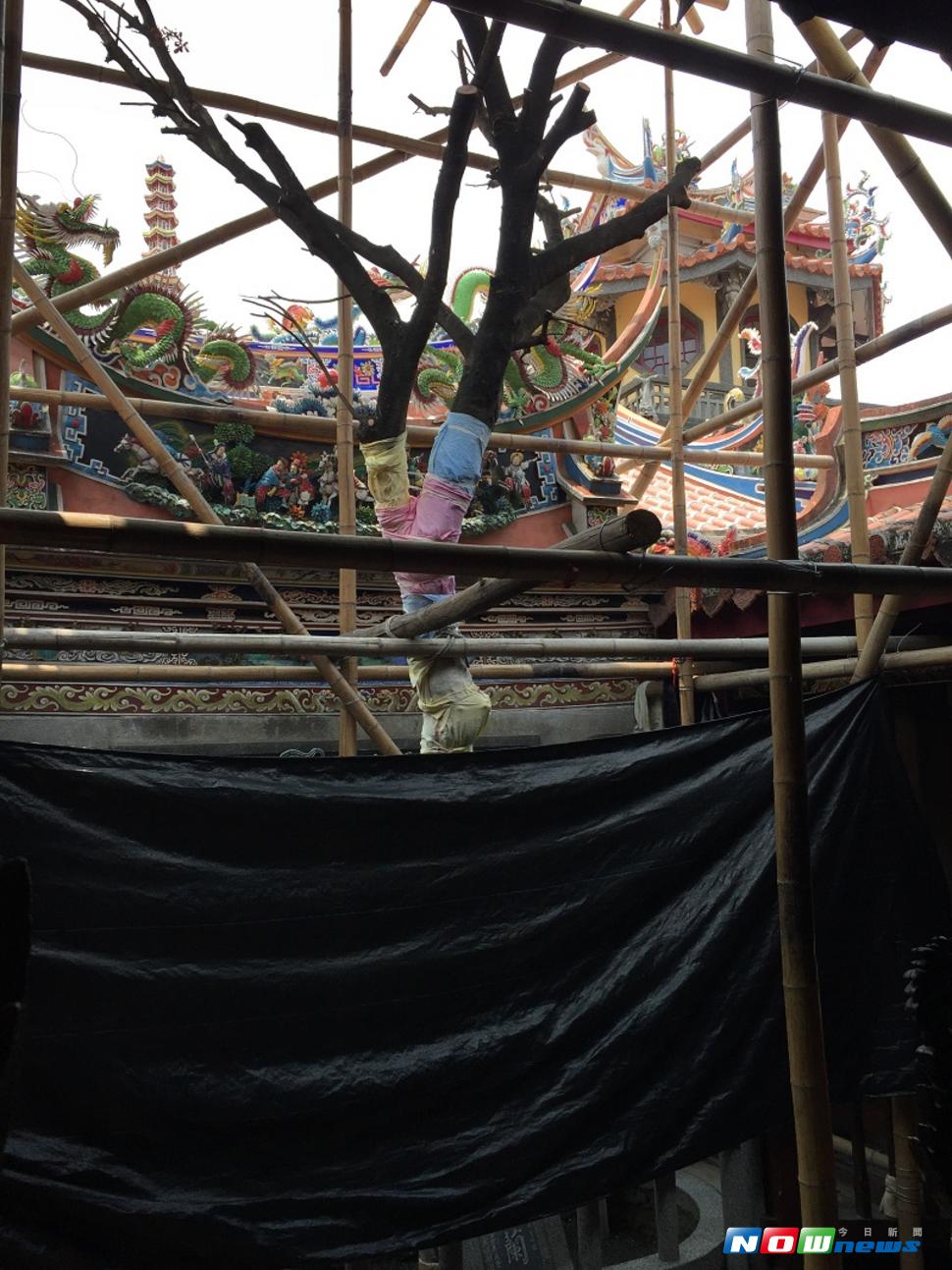 靈樹病危流傳街坊及網路，引發信眾祈福、婉君集氣，意圖挽救。（圖／記者陳鐘聲攝 , 2017.07.21）