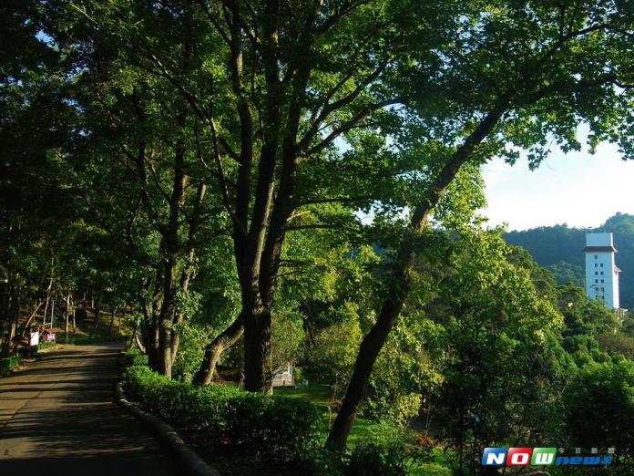東勢林場中的森林浴健康步道，是許多民眾夏季最愛的避暑勝地。〈圖／記者黃玿琮攝2017.7.18〉