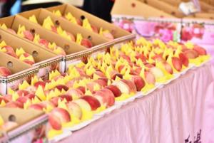 買拉拉山水蜜桃疑遭店家置換！怒發網喊抵制　桃園農業局到場稽查
