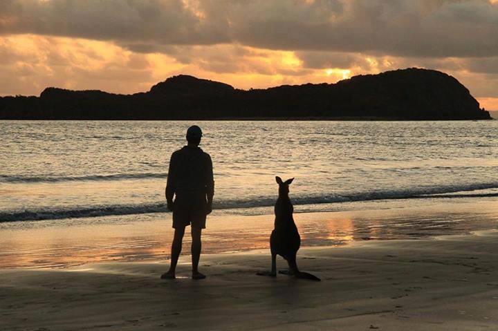 台人偏好前往澳洲打工，但網友看法不一。（圖／翻攝自網路）