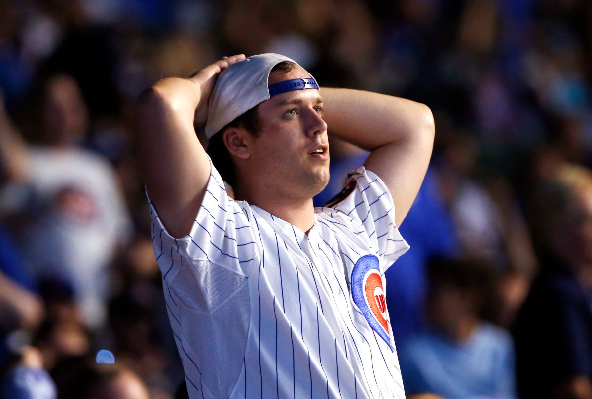 小熊球迷。（圖／美聯社／達志影像）