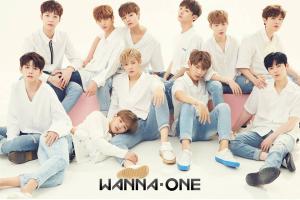 Wanna One十月展開海外活動，台北也是其中一站。（圖／翻攝Wanna One 워너원臉書 , 2017.7.12）