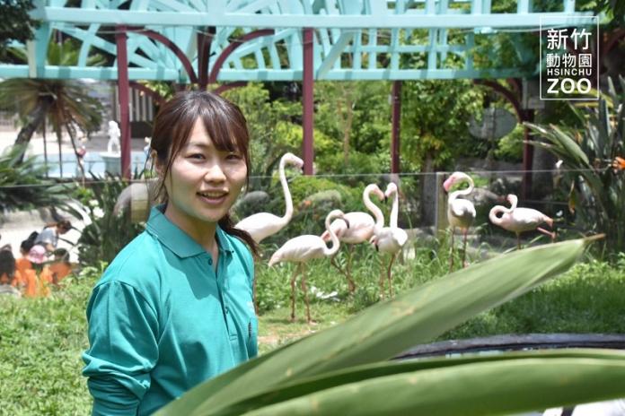 日本女孩Yumiko懷著對動物的愛，來台參與改造新竹動物園的計畫。（圖／翻攝自「新竹動物園HsinchuZoo」臉書）