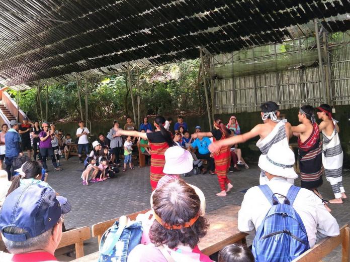 八仙山「原鄉嘉年華」活動中，將邀當地原住民演出泰雅族傳統舞蹈。〈圖／東勢林區管理處提供2017.07.11〉