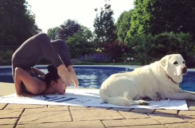 ▲女主人在練瑜珈時想引起拉不拉多的注意，但狗狗卻不甩她。（圖／翻攝自Daily Mail）