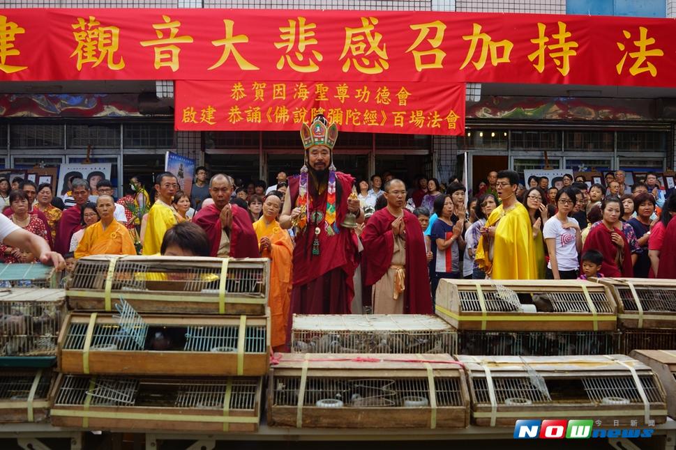 佛教正心會殊勝法會舉辦圓滿，善信參加共沐佛恩，仁波且帶領眾生作結行放生。（圖：佛教正心會提供）