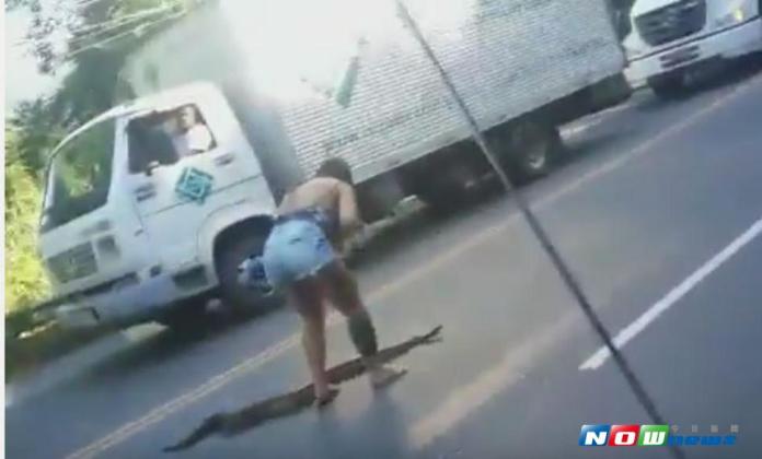 巴西當地時間6日，一名女子英勇地抓起一隻擋在路中間的巨大蟒蛇。（圖／國際中心翻攝）