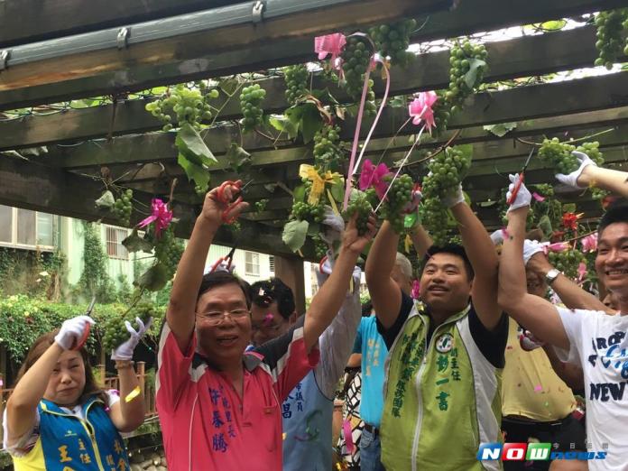 土城葡萄季活動熱鬧開鑼！
