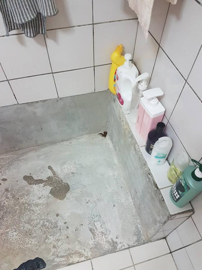 ▲浴室出現大蜈蚣，網友想出爆笑奇招對付。（圖／翻攝自爆廢公社）