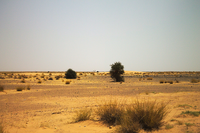 非洲沙赫爾沙漠（Sahel）受地球環境改變影響可能變得更溼潤。（圖／翻攝自flickr）