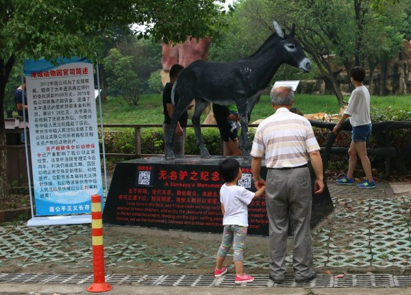 大陸江蘇動物園為6月時被殘忍餵食給老虎的驢子設立「無名驢之紀念碑」。（圖／翻攝自微博）