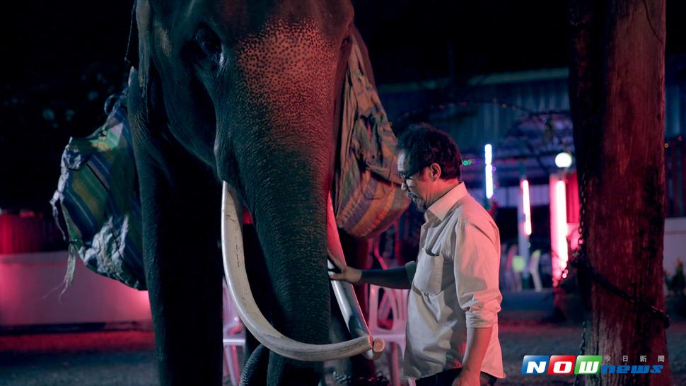 ▲片中男主角Thana與大象Pop aye的互動，相當感人。（圖／前景，2017.07.04）
