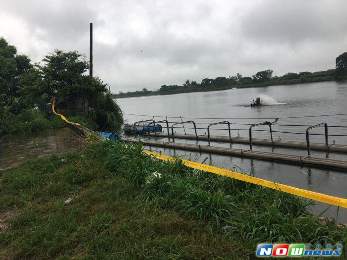 ▲行政院農委會防檢局 6 日公告桃園「吳郭魚湖泊病毒病」疫情擴大檢測結果，針對後續進行的半徑 3 公里到 5 公里的 24 場魚池檢驗發現，有 2 場魚池呈現湖泊病毒核酸陽性反應，累計呈陽性反應的魚池數量來到 9 場。（圖／桃園市動保處提供,2017.6.19）